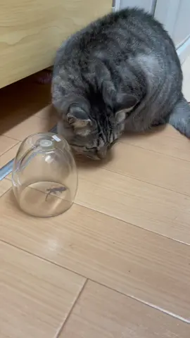 おともだち😵‍💫