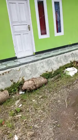 mAsiH ngAdeM 🤗🤗🤗