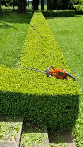 if only I was this fast 😆 #husqvarna #videooftheday #fastforward #blowthisup #hedgetok #work #trending #viralvideo #duet 