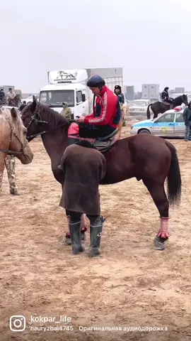 Құт берекең - атаң қымбат, Аймалайтын анаң қымбат. Мейірімді апаң қымбат.Асқар тауың - әкең қымбат.#аке #kokpar #kokparkaz #рекомендации #рек