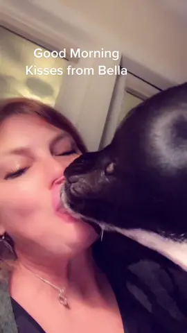 She’s always giving kisses!!! #pittypuppy  #pitbull #pitbullsoftiktok #bullnosebully #pittykisses #pitbullkisses #youreawesome #yougotthis #youreawesome #pitbullsarethebest #dogsoftiktok #puppiesoftiktok #pitty 