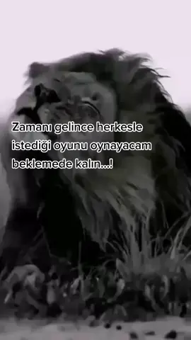 #lafsokucusözler #ağırsözler #sertsözler 