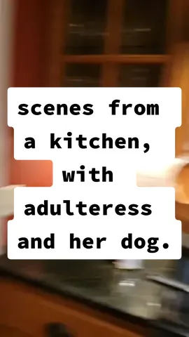 #dogsoftiktok #kitchen #kitchendesign #affairtok #aboverreproach #reputationalharm