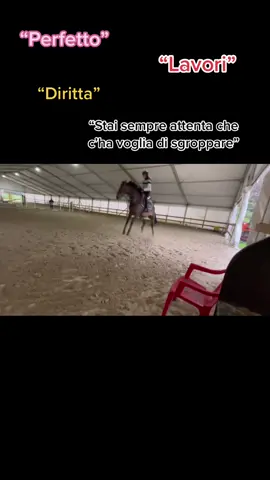 Non ha bisogno di parole. #perte #equitazione IG: NICOLECERESETO