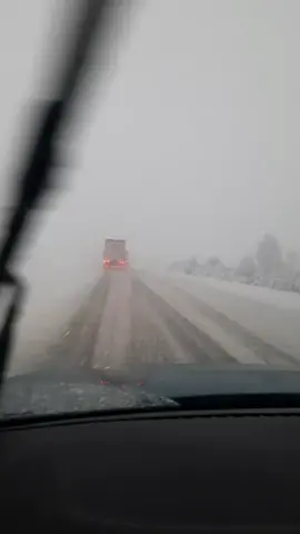 #bullshit #snow #michigan #hillbillybonz 