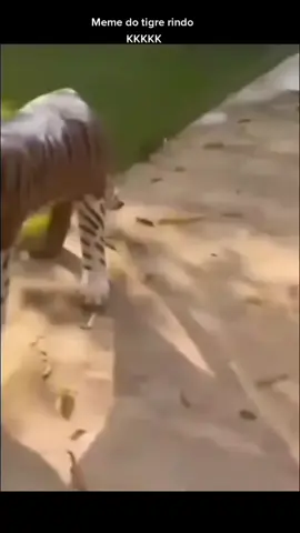 #memetiktok #meme #fogo #edit #fy #help 