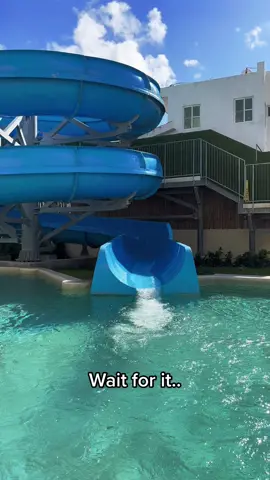 They make life fun! #fyp #family #mexico #vacation #beach #cancun #grateful #familybond 