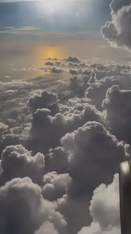 ﴿ فقلتُ استَغفرِو رَبكُم انّهُ كان غفّاراً ﴾#الشيخ_علي_جابر #ali_gabr #اكتب_شي_توجر_عليه #tiktok  #استغفرالله_العظيم_واتوب_اليه 