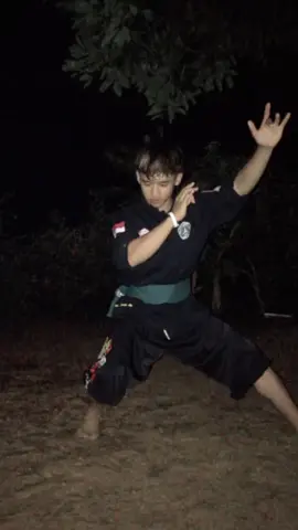 kata kata seng nggawe semangat??#fyp#masukberandafyp #pagarnusalamtim#pagarnusajember🔱 #pagarnusakediri#dulur 86#srikandi86💚🔱 