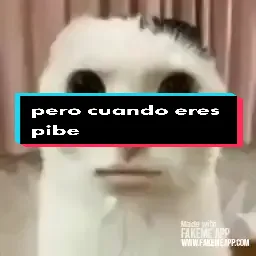perocuandoereapibelospibestremendatulamipanaperocuandoerespibalaspibassoyvegana#CapCut #bingo #fypシ #HisensePerfectMatch #fypシ @TikTok PONME EN PARATI #parati #StopMotion #FreeFire4nniversary #perocuandoereapibelospibes #TalentoTikTok #cola #gatos #pibe #piba #pero #cuando #eres #pibe #los #pibes 