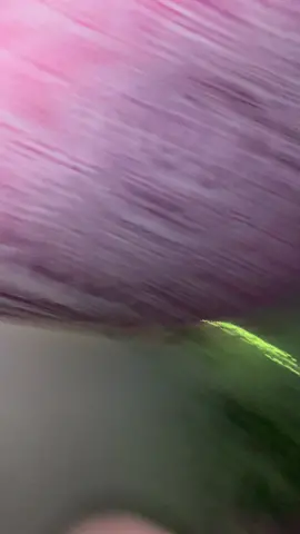 I phone xr holding on for dear life