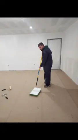 Studio update ♡♡ #shaesphotobombs 