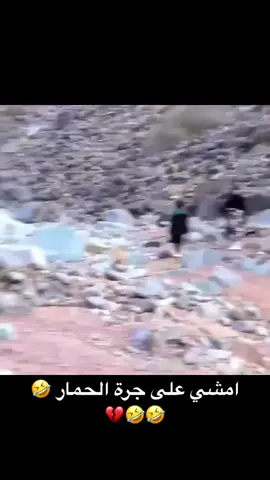 امش على درب الحمار ويوديك لي الدرب السهل 😭😭🤣🤣🤣💔💔هههههههههههه #اكسبلور #fyp #مقاطع_ضحك #كوميدي😂 #مقاطع #دعم#foryoupage #تبوك#حقل#ضباء#الوجه#جده#الرياض#قطر#الكويت#تصميم_فيديوهات🎶🎤🎬 