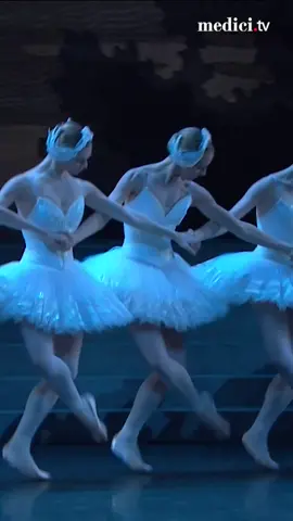 Ballet performs Swan Lake | Opera de Paris✨#tchaikovsky #swanlake #classicalmusic #music #musician #musciansoftiktok #popular #song #foryou #fyp 
