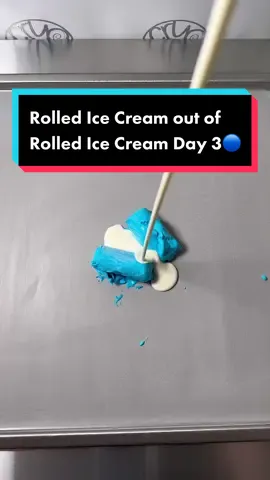 Replying to @yea.its.makayla.10 Rolled Ice Cream out of Rolled Ice Cream Day 3! Follow so you don’t miss the series! #icecreamrolls #series #viral #fyp 