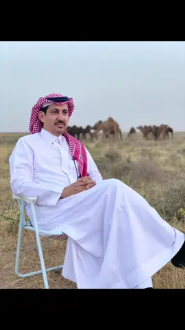 #بن_طوالة 