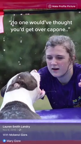 #greenscreen #bully loosing capone was the hardest thing for me but blessed me with another to mend what was broken!❤️ 