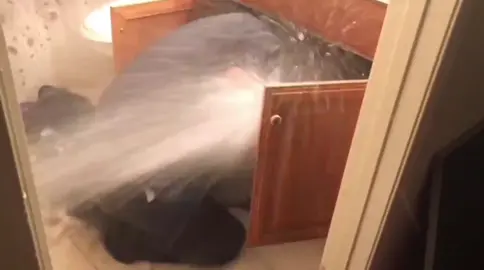 Plumber causes huge flood in apartment 