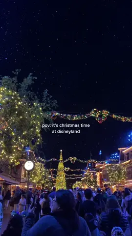 Nothing better 🥹 #fyp #disneyland #contentcreator #christmasatdisney #petsmart #AmazonSavingSpree 
