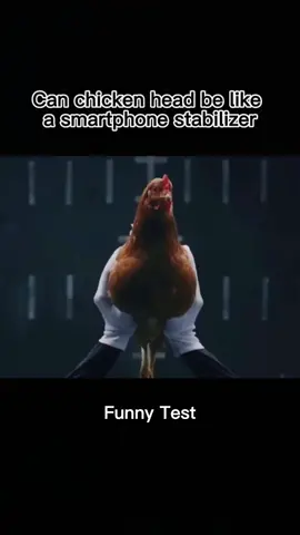 Can chicken head be like a smartphone stabilizer. #stabilizer #funnytest #funnyvideos #selfiestick #gimbalstabilizer #antishake #camera #smartphone #foryou #fypage #photography #videorecording 