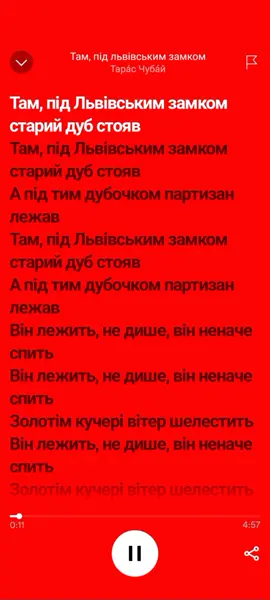 Тарас Чубай - Там, під львівським замком #футаж #spotify 