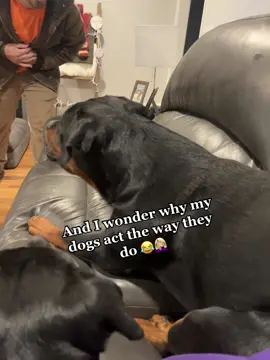 What’s wrong with my husband 😂😂 Zeke takes after him as you can tell 🤣 #likefatherlikeson #petsmart #dogsoftiktok 