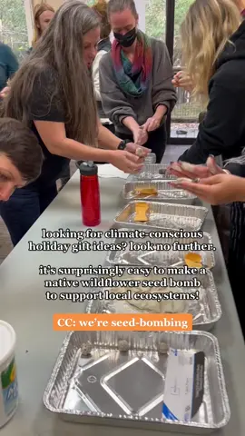 Check out the full seed bomb Climate Action Toolkit guide at TheClimateInitiative dot org !! And let’s show some appreciation in the comments for these iconic teachers 😆 (At The Climate Initiative’s Climate Educators’ Retreat)! ##climate##climateaction##youth##youthaction##educatorsoftiktok##takeaction##environment##nativeplants##ecosystemrestoration##EcoFriendly##ecotok
