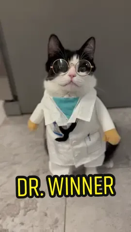 She’s the purrfect Doctor! Win-Win will see you now! #catyperry #katyperry #hotthenyourcold #catcosplay #catdressedup #petcostume #catcostume #dressupyourpetday #catlover #adoptdontshop #rescuepet #mustlovecats 
