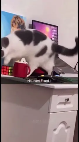 #memes #funnyvideos #joke 