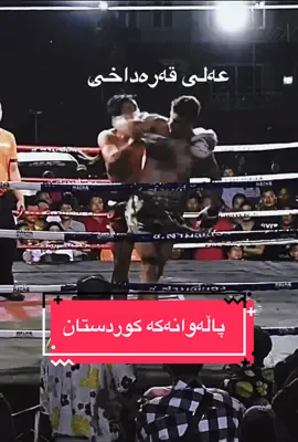 پاڵەوانەکەی کوردستان عەلی قەرەداخی بە یەك بۆکس کۆتای پێهێنا 😳  #کوردستان #عەلی_قەرەداخی #شەڕی_کیکبۆکس #کیکبۆکس #کۆنفو #بطل #کوردستان_سلێمانی_کەرکوک_هەولیر #aliqaradaghy #kurdistan #fyp #foryoupage #fypシ #fypシ゚viral #palawan #palawany_kurdistan #سلێمانی #کورە_کورد #بۆکسێن، @ali_qaradaghy 