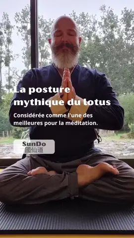 La posture mythique du lotus. 🙏🤣  Cette position est considérée comme l'une des meilleures pour la méditation.  Elle maintient le corps stable et droit pendant de longues durées.  La stabilité du corps calme l'esprit.  La conscience du processus de respiration aide également à stabiliser l'esprit. Dans cette position pratique la cohérence cardiaque.  Il existe un lien complexe entre le corps et l'esprit.  Un corps stable peut aider à apporter de la stabilité dans l'esprit.  Pendant la pratique, garde la colonne vertébrale droite.  La colonne vertébrale droite facilite la libre circulation du Qi.   Cette pose restreint le flux sanguin vers les jambes et le redirige vers la région abdominale.  Elle améliore la digestion.  Elle peut aussi soulager de nombreux problèmes émotionnels..  On a que les limites que l'on se donne soi-même. 🙏😁  Télécharge gratuitement mon petit guide, clique sur ce lien : https://www.yogataoiste.com/guide-meditation  #yoga #coreen #sundo #méditation #tao