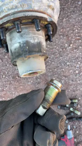 Listen to me talk about tire stuff when I have no idea what I’m talking about#AEHolidayCard #AmazonSavingSpree #PetSmartMadeMeBuyIt 