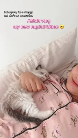 my little companion ragdoll kitten “mika”🥺 #ragdoll #ragdollkittens #fluffykittens #fyp #asmrvoiceover #asmrleedah #ragdollcats 