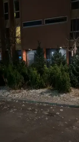 Mens vi vente på festkonsert og resultater fra dagens konkurranse, lage vi tiktok😎.   #korpstur #stsk #sortland #nmf #NNM #sør-tromsøyaskolekorps 