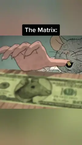 #freedom #matrix #primitive #forest #explore #foryou #life #fyp #earth 