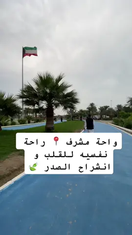 اسم المكان واحة مشرف 📍 منطقة مشرف #مشرف #واحة_مشرف #كشته #طلعة_بر #طلعة_بنات #وناسه #شتاء #قهوه_عربيه #شاي #الكويت🇰🇼 