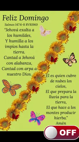 Feliz Domingo y bendecido sean para todos ustedes familia y amistades 🫶🙏🫶  Salmos 147 Alabanza por el favor de Dios hacia Jerusalén… #Y#YolyAmaDiosGraciaSeñor 