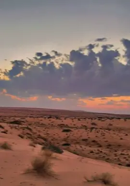 اعاهدك باللي فرض حجة البيت مانساك لو قبري يشيد ترابه #ابداعات #بدر_الغريب #فنان #الكون #كلمات #الشاعر #سليمان #الهويدي #2022 #محمدمحمد_🤍🕊🌸🌺 #كسبلور_explor #كسبلور #كسبلوورررررررررر #كسبلوررررررررررررر🥰🥰💞💞🥰🥰💞💞❤ 