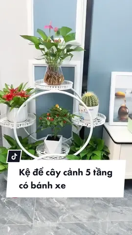 Kệ để cây cảnh 5 tầng có bánh xe - #hottrend #giadungthongminh #thinhhanh #review 