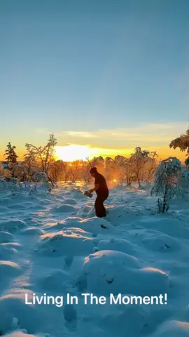 Sunsets in Saariselkä!   #Lapland #Finland #Saariselkä #Winter #Snow #BucketListTravel #BucketList2022  @auroracollectionresort 