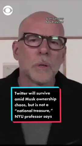 #Twitter “will survive” amid the recent firing and #quitting of employees after #elonmusk’s ownership of the company, one NYU professor says. #news #Tech 