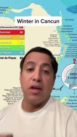 How’s the seaweed and weather in Cancun during the winter months? Here’s everything you need to know #cancun #cancunmexico #rivieramaya #cancun2022 #cancunvacationsecrets 