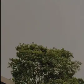 ( part 10 ) #inimardi #lewatberanda #fypシ