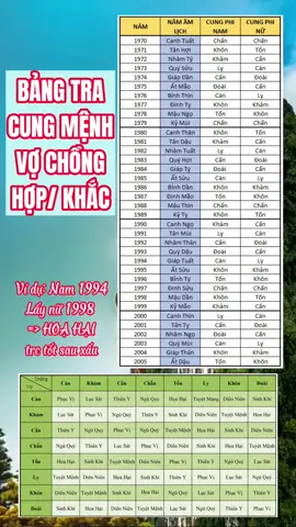 Bảng tra cung mệnh vợ chồng lấy nhau có hợp không #phongthuy #tuvituongso #tuvi #tuoilaychong #tuoikethon #phobgthuylocviet #dieuthao 