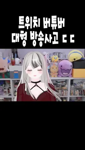 #버튜버 #vr #방송사고 #얼공 #얼굴공개 #유튜버 #스트리머