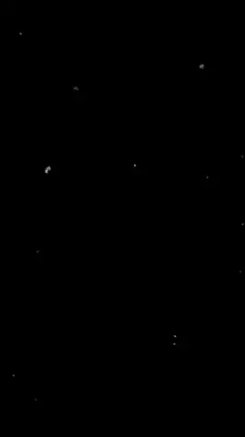 Naruto characters saying 