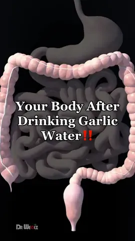 What Happens to Your Body When You Drink Garlic Water Everyday #animation #garlic #health #healthbenefits #immunesystem 
