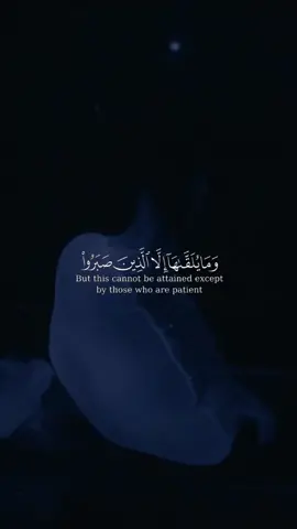 القارئ:#اسلام_صبحي |سورة#الصافات#أجر_لي_ولكم #قران #quran #fyp #🤍 