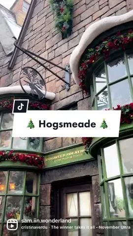 “Hogsmeade looked like a Christmas card…” #w#wizardingworldh#harrypotterh#harrypotterfan#u#universalflorida#d#diagonalleyh#hogsmeadeuniversalflorida #christmasathogwarts #hogsmeadevillage 
