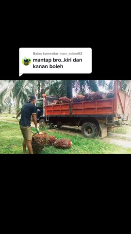 Membalas @man_adam93 😁 cuma kalau nusuk sy Tidak bisa pakai kiri bro, Setiap org pasti ada kekurangan, Begitu pun saya, cuma rokok sampurna aja yg sempurna 😁🙏 #lodingbuahsawit #angkatbuahsawit #muatbuahsawit #sawitontiktok 